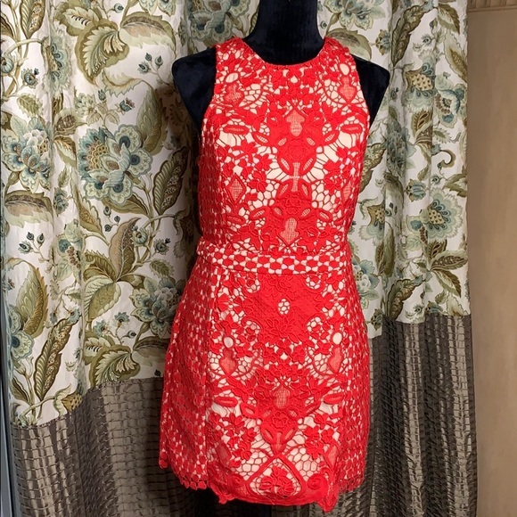 ENDLESS ROSE floral lace overlay dress - Picture 3 of 6